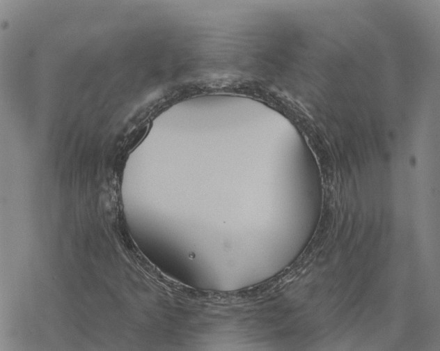 X0000076421349200610271658