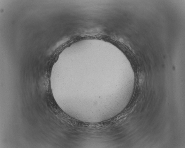 X0000076421350200610271657