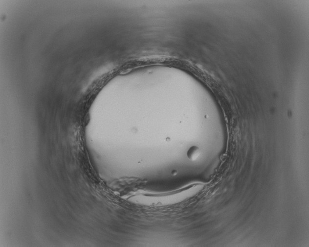 X0000076421351200610271657