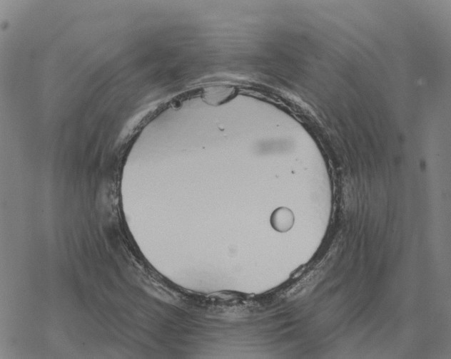 X0000076421355200610271657