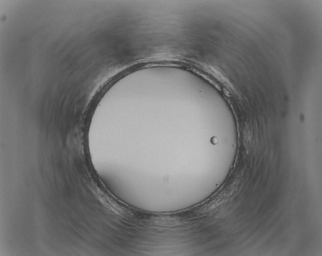 X0000076421356200610271657