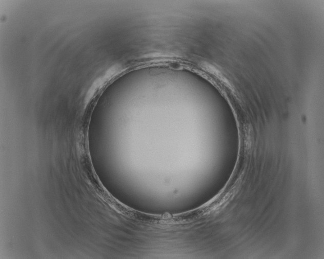 X0000076421357200610271657