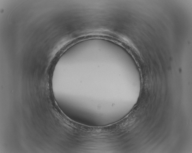 X0000076421360200610271657