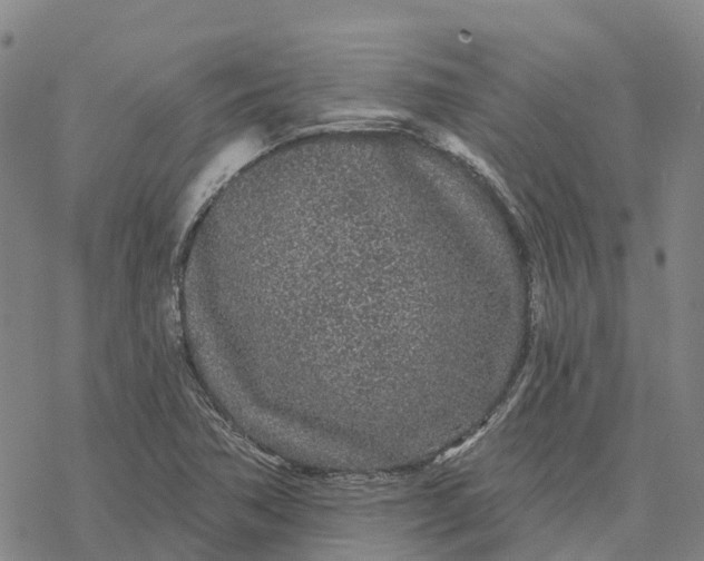 X0000076421362200610271657