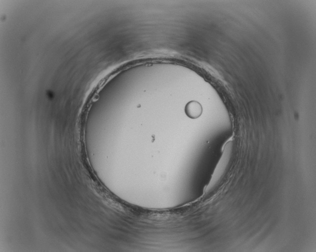 X0000076421364200610271657