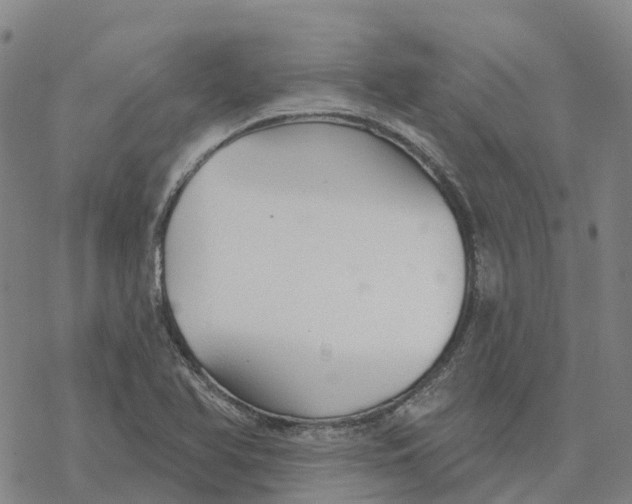 X0000076421366200610271657