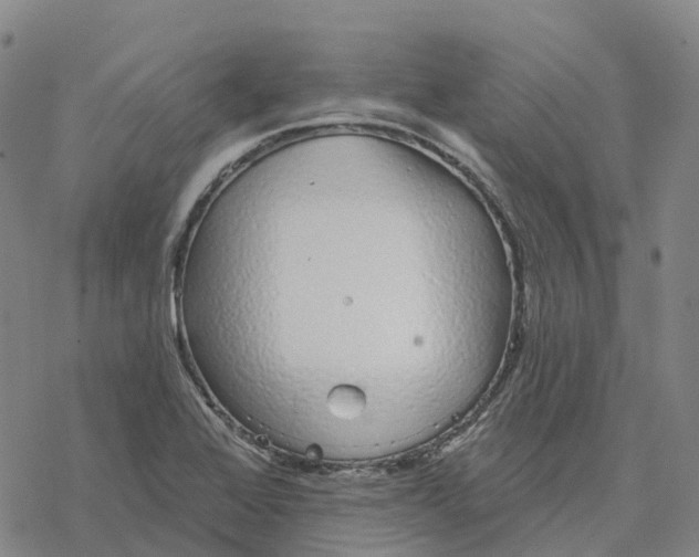 X0000076421368200610271657