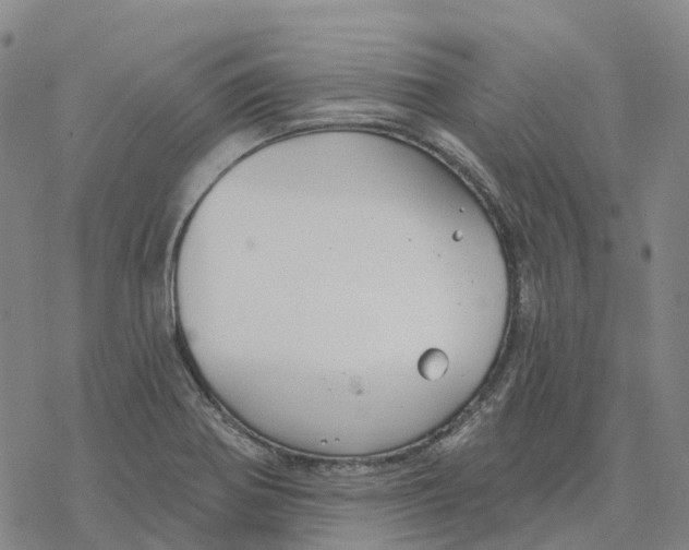 X0000076421370200610271657