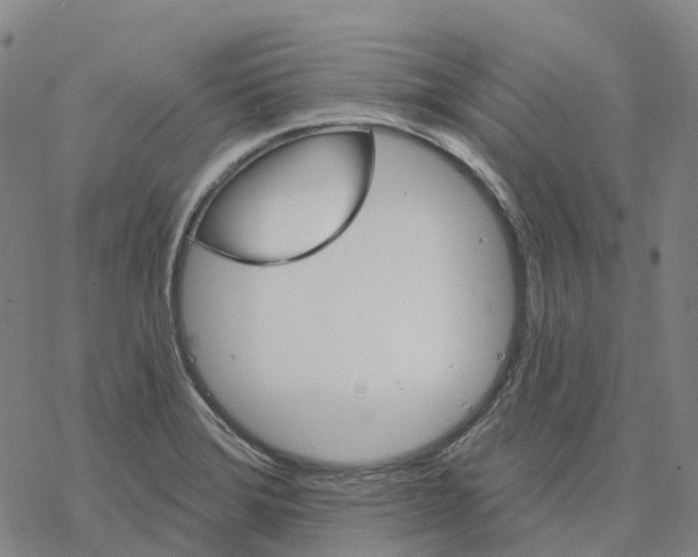 X0000076421372200610271657