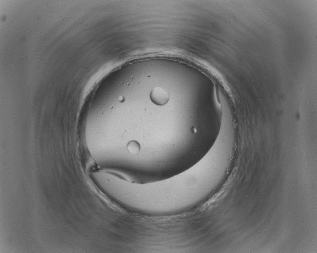 X0000076421373200610271657