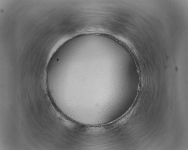 X0000076421374200610271657