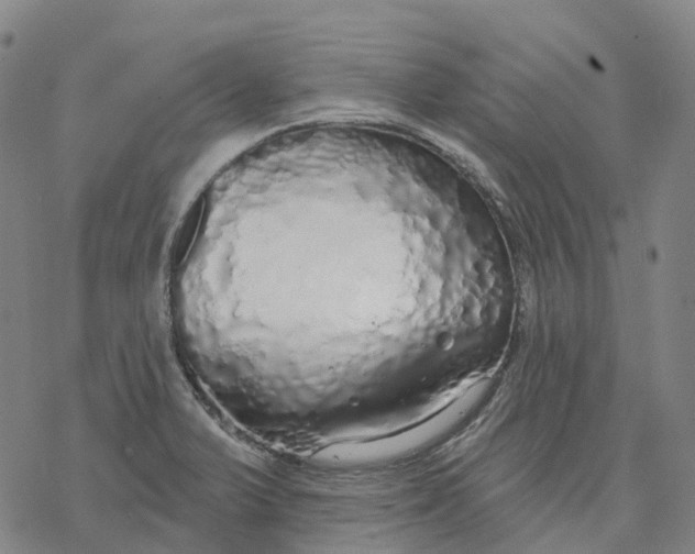 X0000076421375200610271657