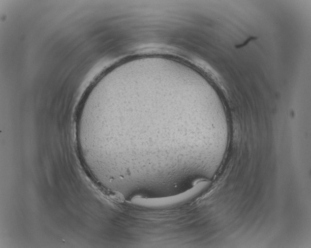 X0000076421376200610271657