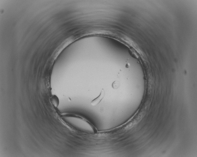 X0000076421377200610271657