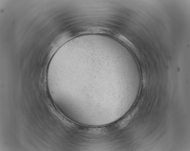 X0000076421378200610271657