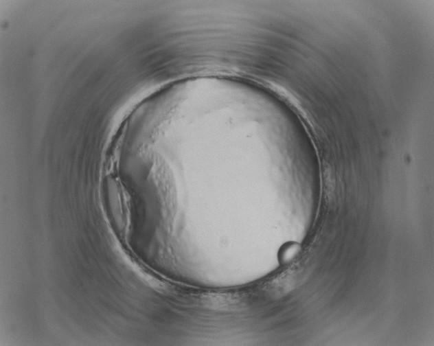 X0000076421379200610271657