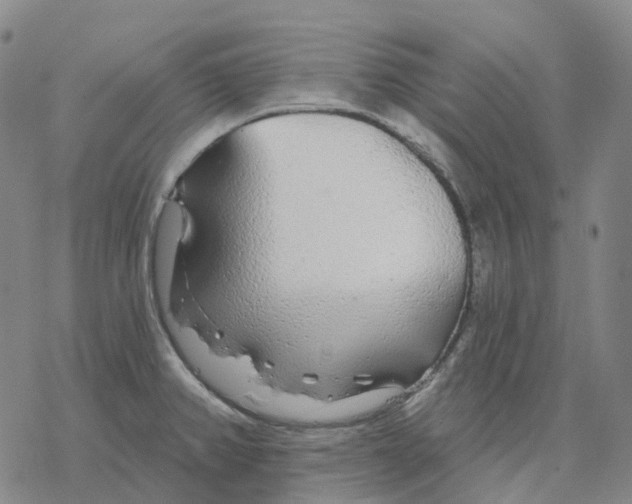 X0000076421382200610271657