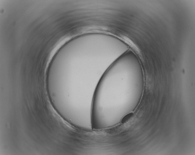 X0000076421384200610271657