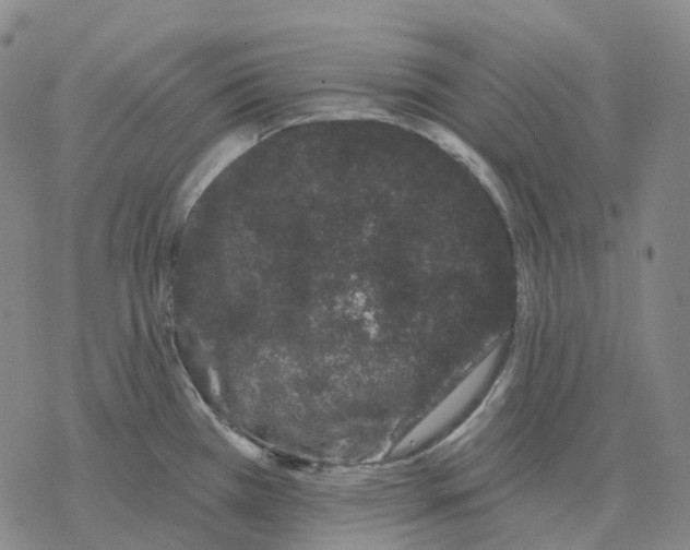 X0000076421385200610271657