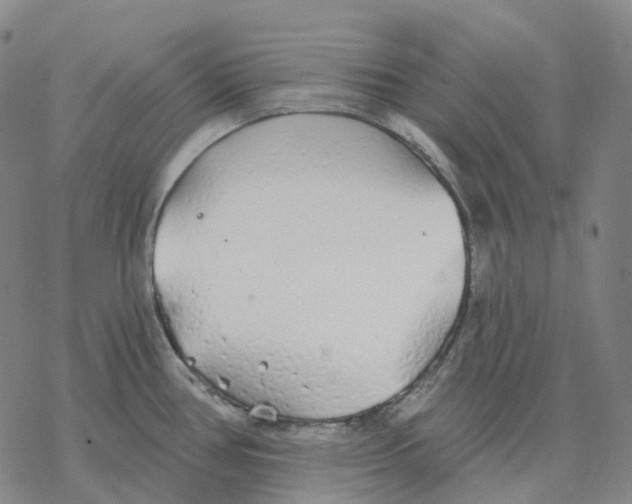 X0000076421386200610271657