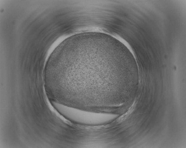 X0000076421389200610271657