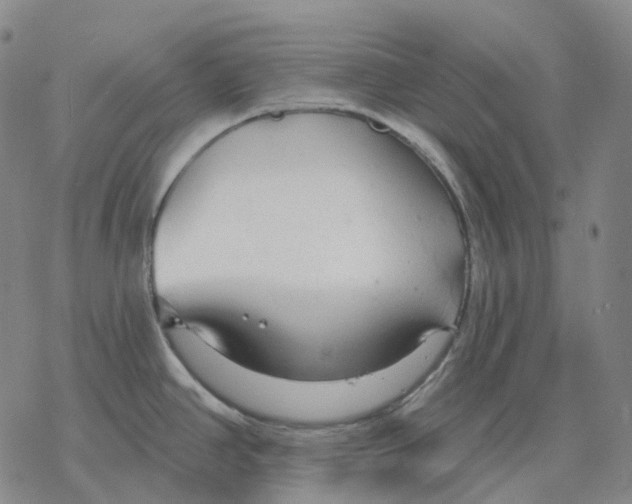 X0000076421390200610271657