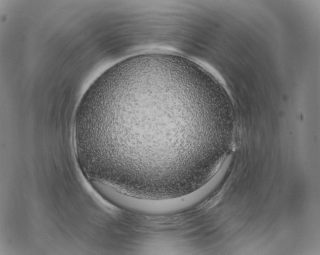 X0000076421391200610271657