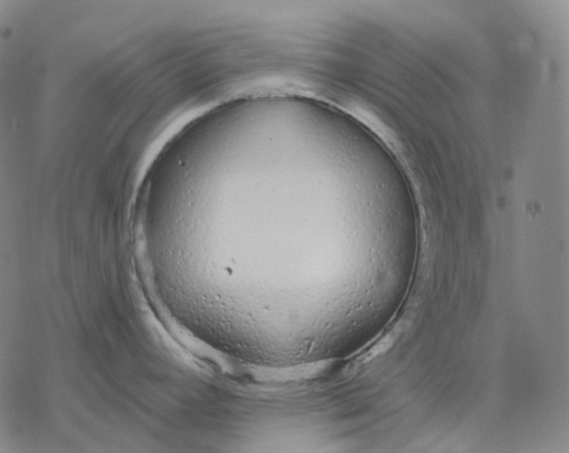 X0000076421392200610271657