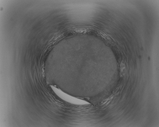 X0000076421394200610271656