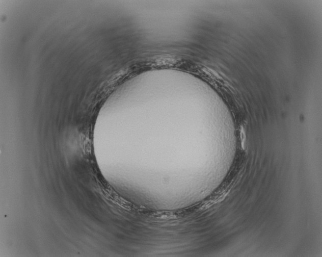 X0000076421395200610271656