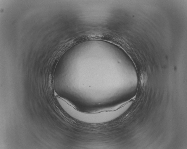 X0000076421396200610271656