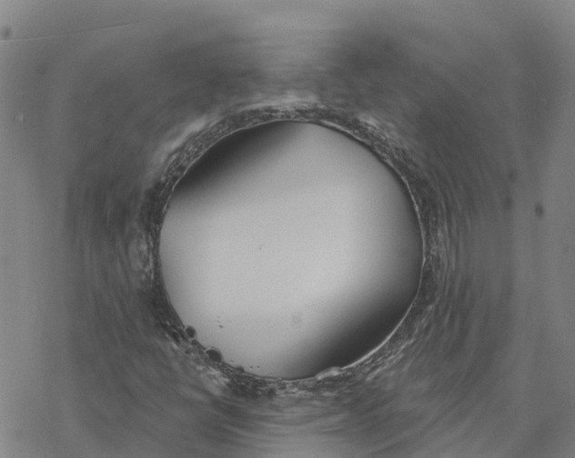 X0000076421398200610271656