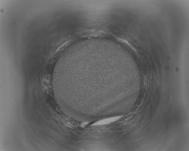 X0000076421399200610271656