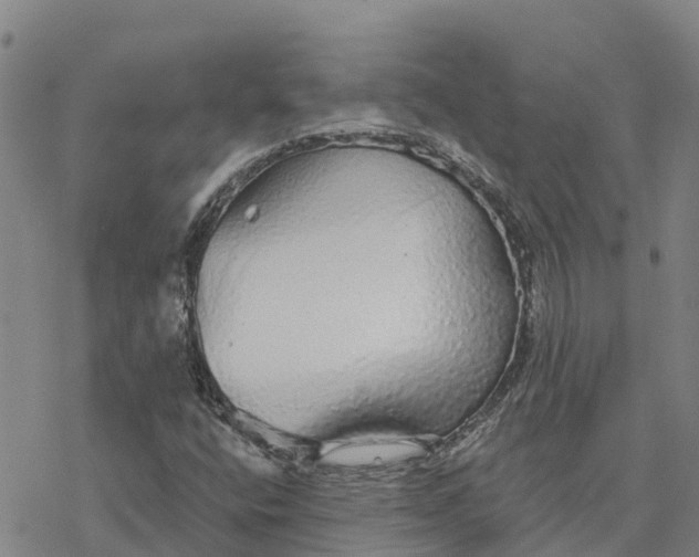 X0000076421400200610271656