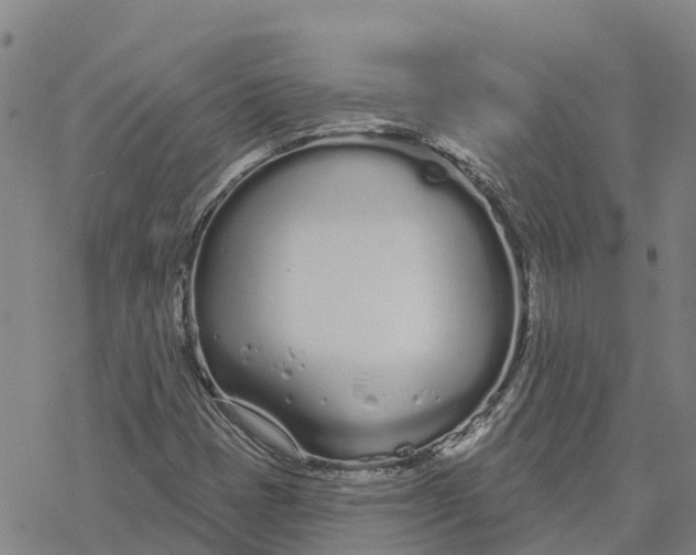 X0000076421401200610271656