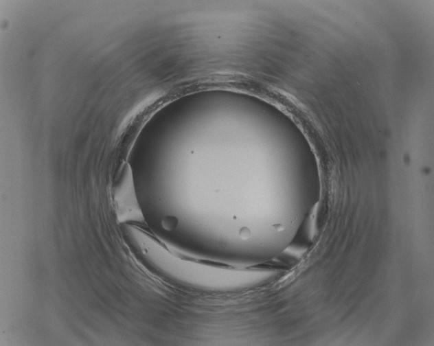 X0000076421402200610271656