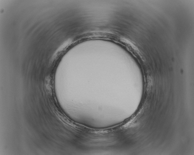 X0000076421403200610271656