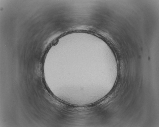 X0000076421404200610271656