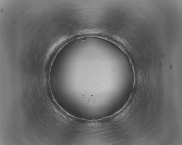 X0000076421406200610271656