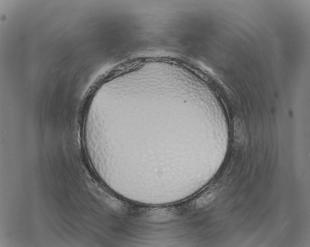 X0000076421408200610271656