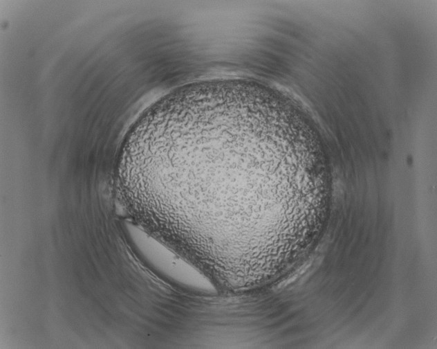 X0000076421409200610271656