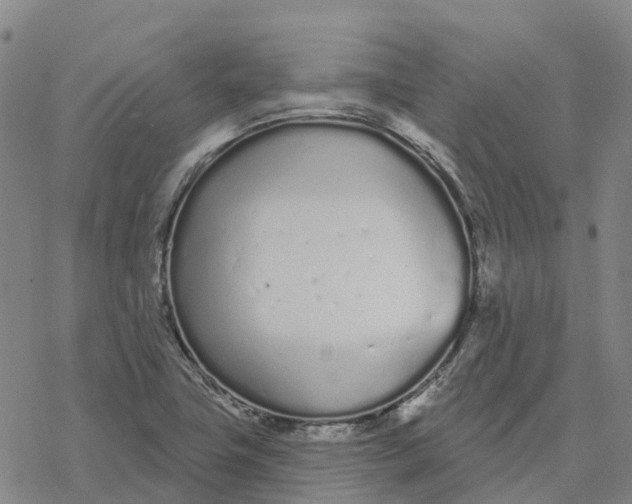 X0000076421411200610271656