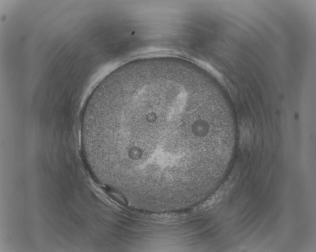 X0000076421413200610271656