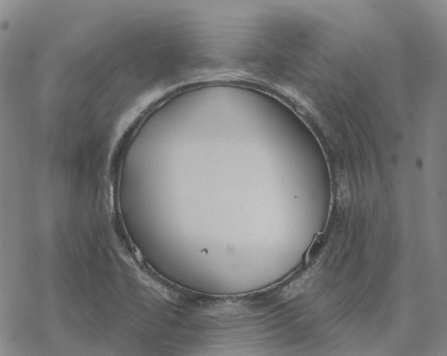 X0000076421414200610271656