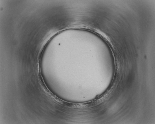 X0000076421415200610271656