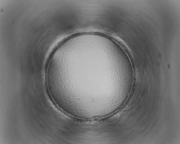 X0000076421416200610271656