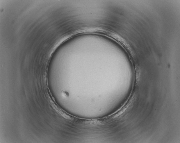 X0000076421417200610271656