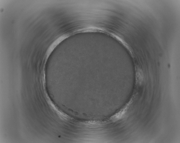 X0000076421418200610271656