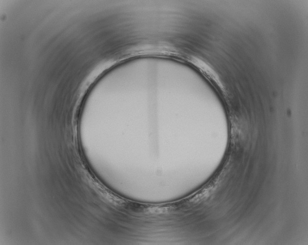 X0000076421419200610271656