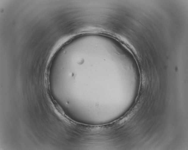 X0000076421421200610271656